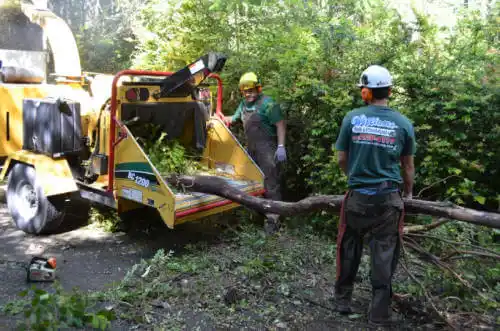 tree services Del Monte Forest